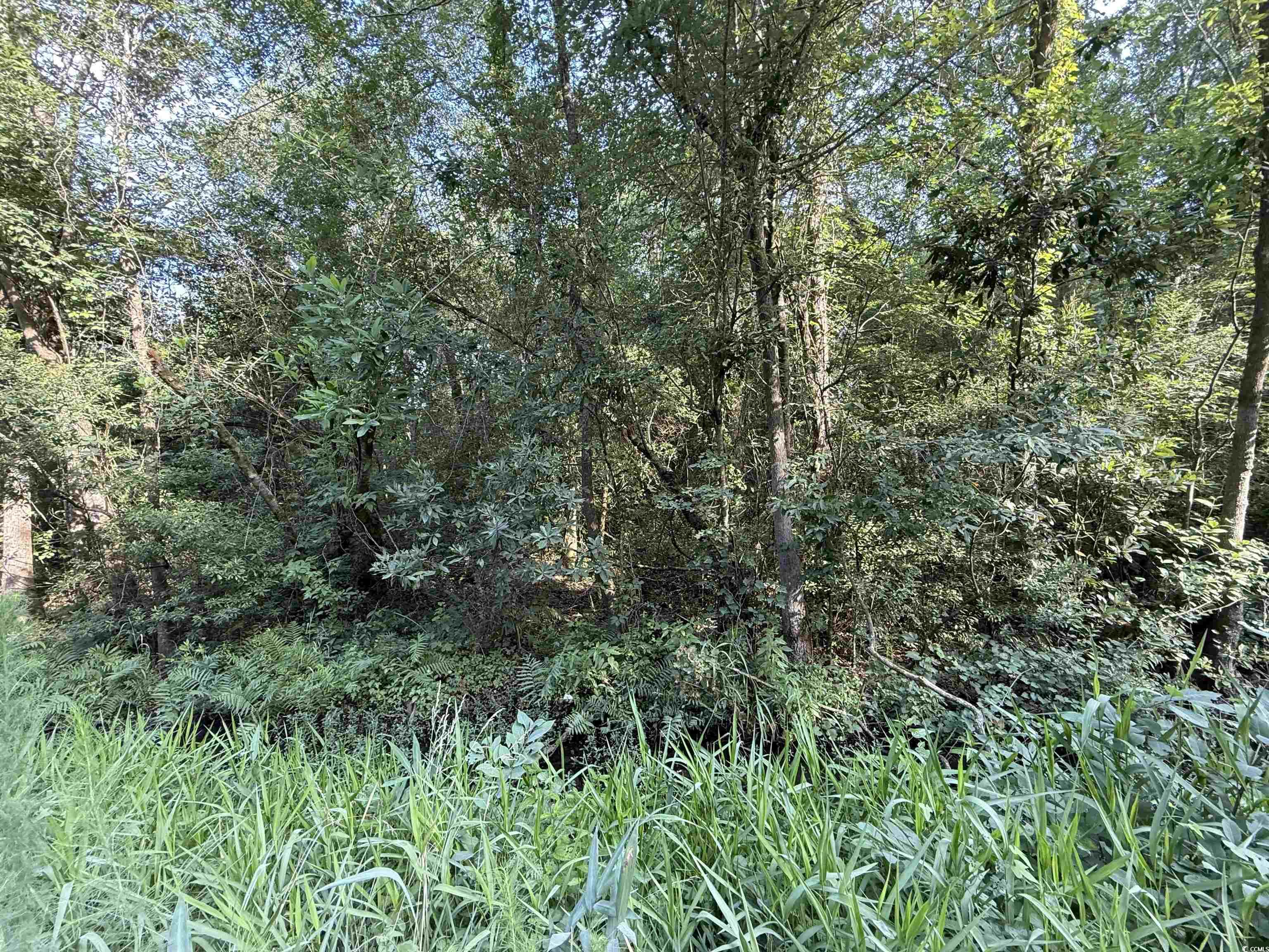 Tbd Wolf Pit Bay Rd. Property Photo 2