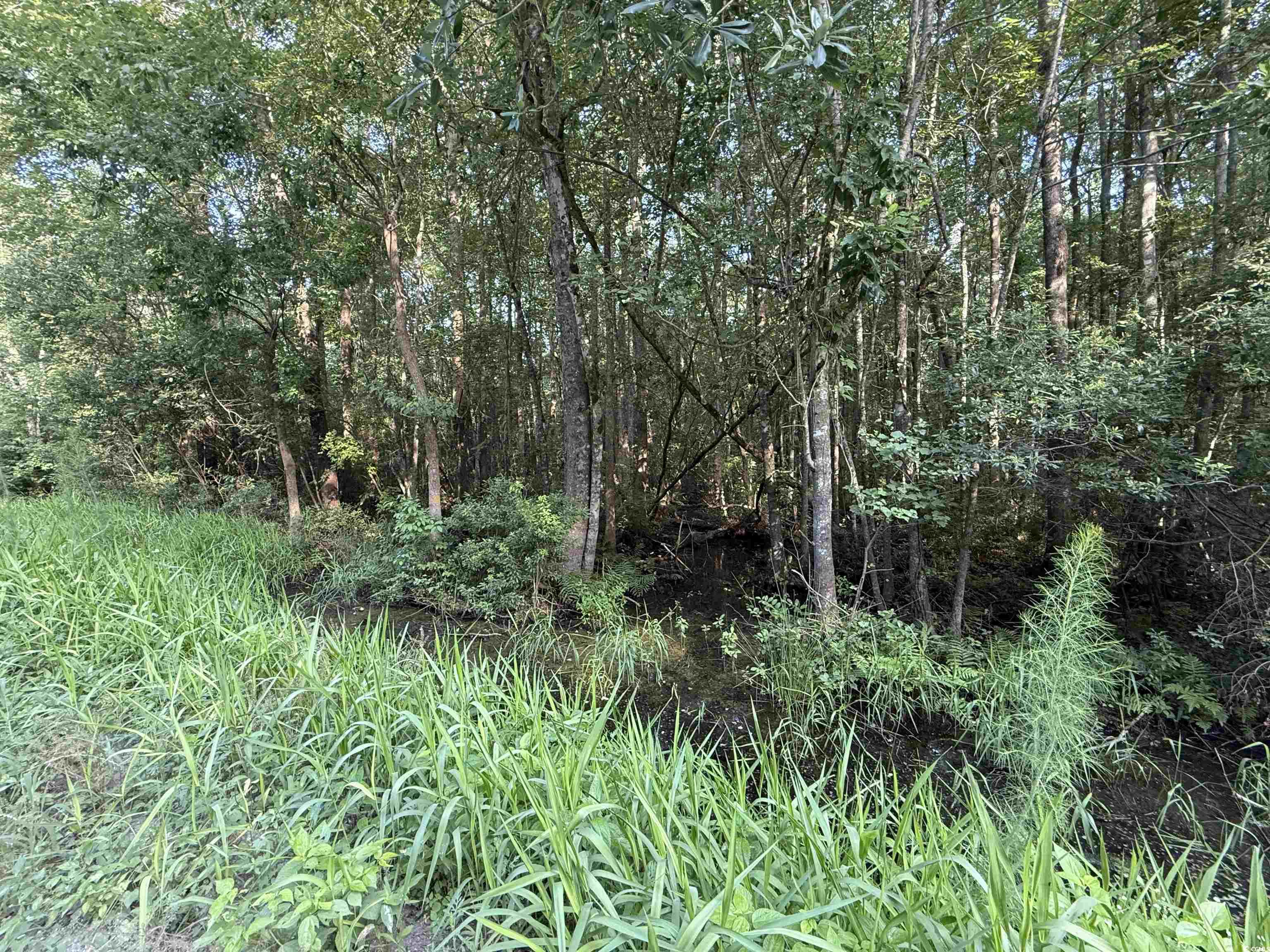 Tbd Wolf Pit Bay Rd. Property Photo 3