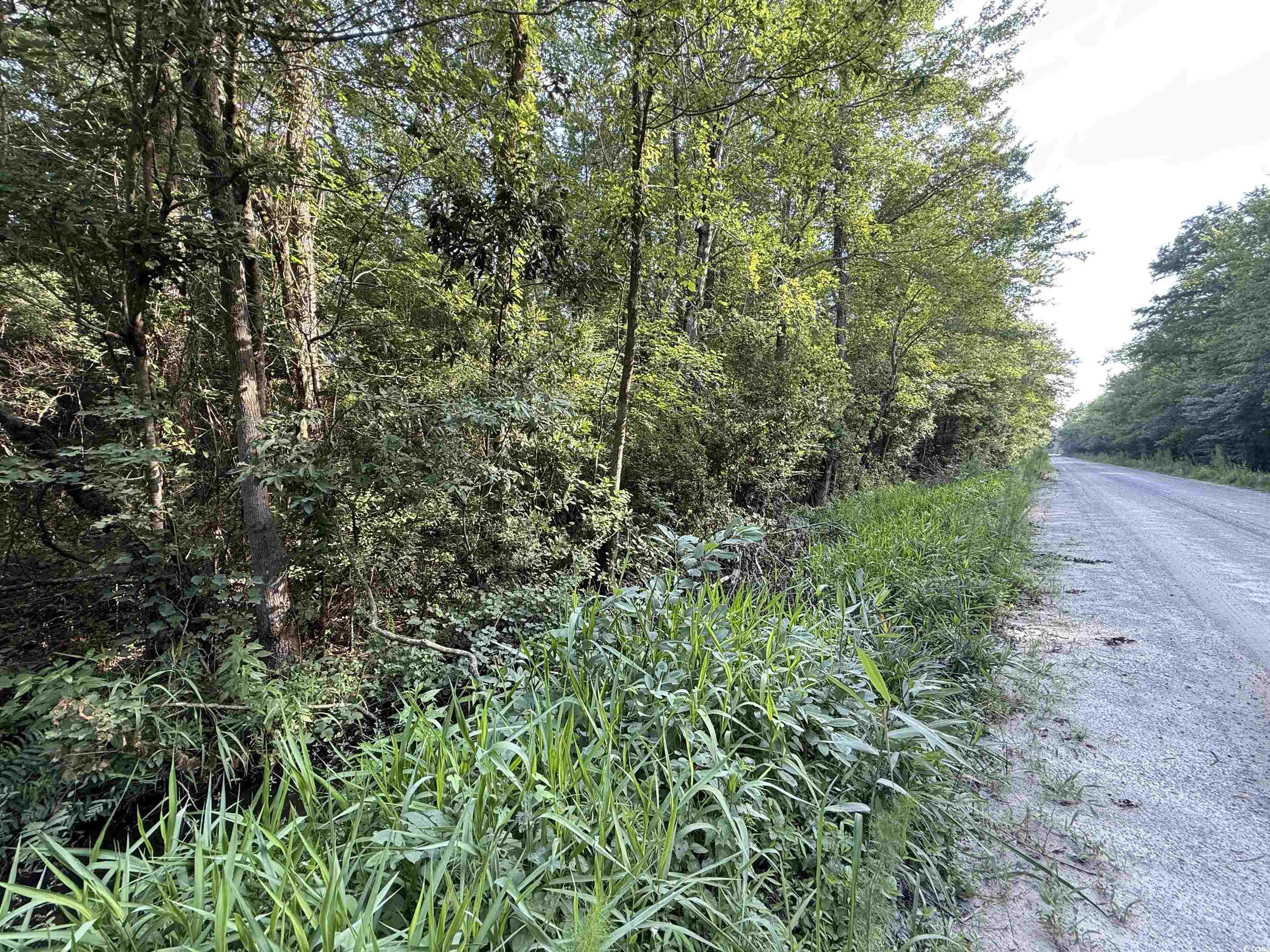 Tbd Wolf Pit Bay Rd. Property Photo 4