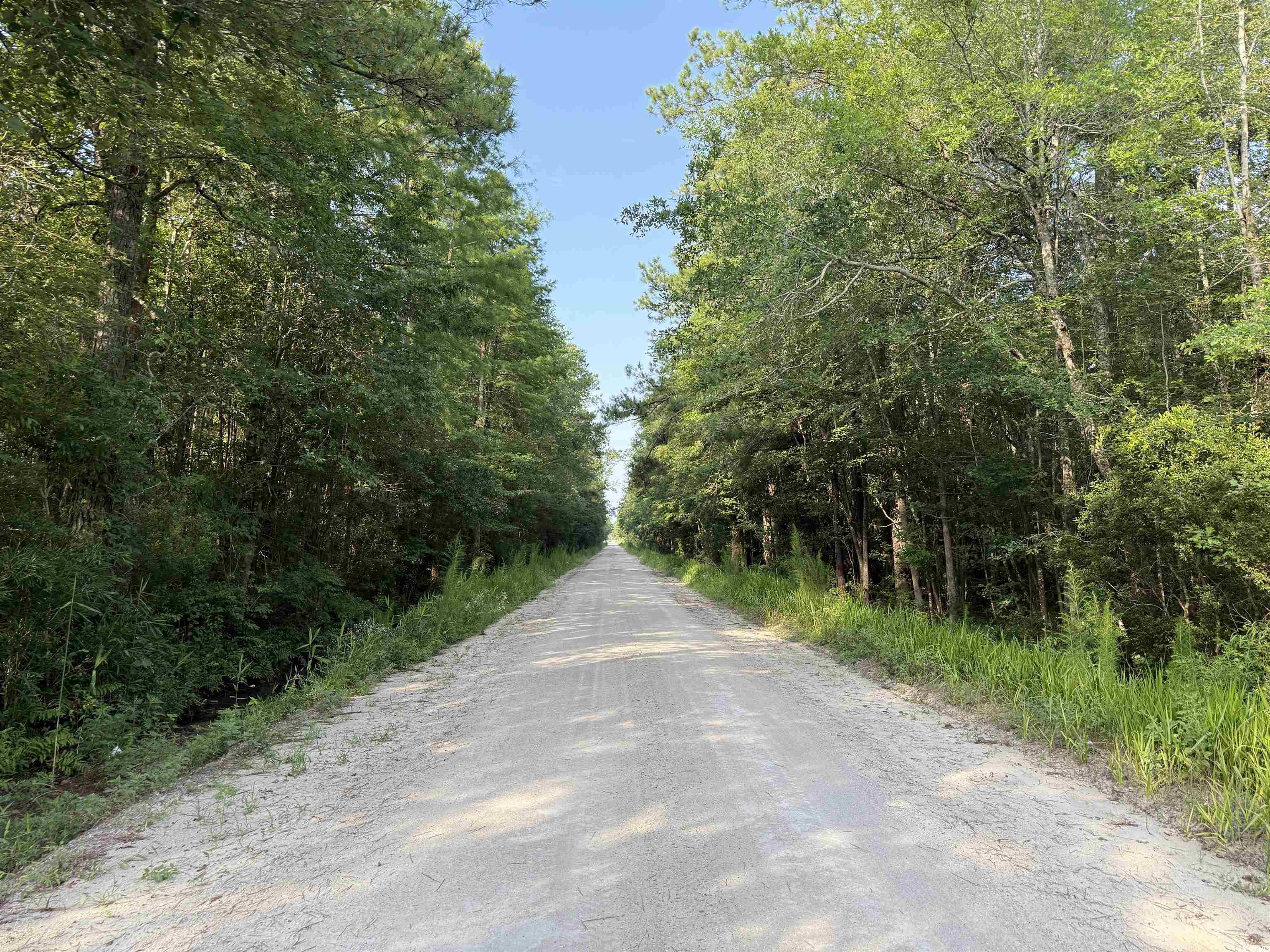 Tbd Wolf Pit Bay Rd. Property Photo 5