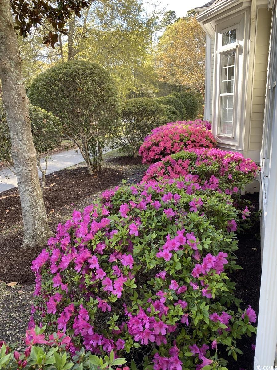 4744 Bucks Bluff Dr. Property Photo 37