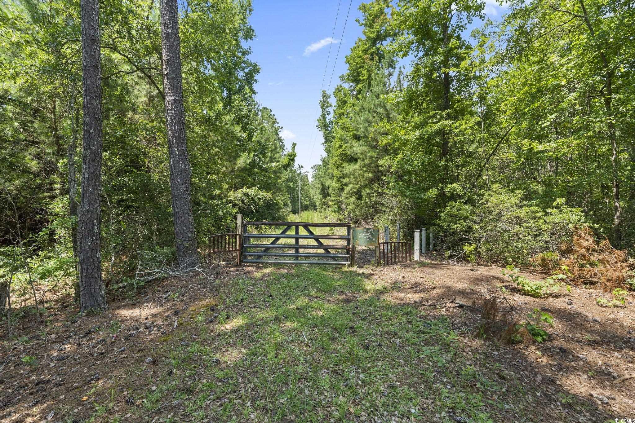 1351 Highway 90 Property Photo 2