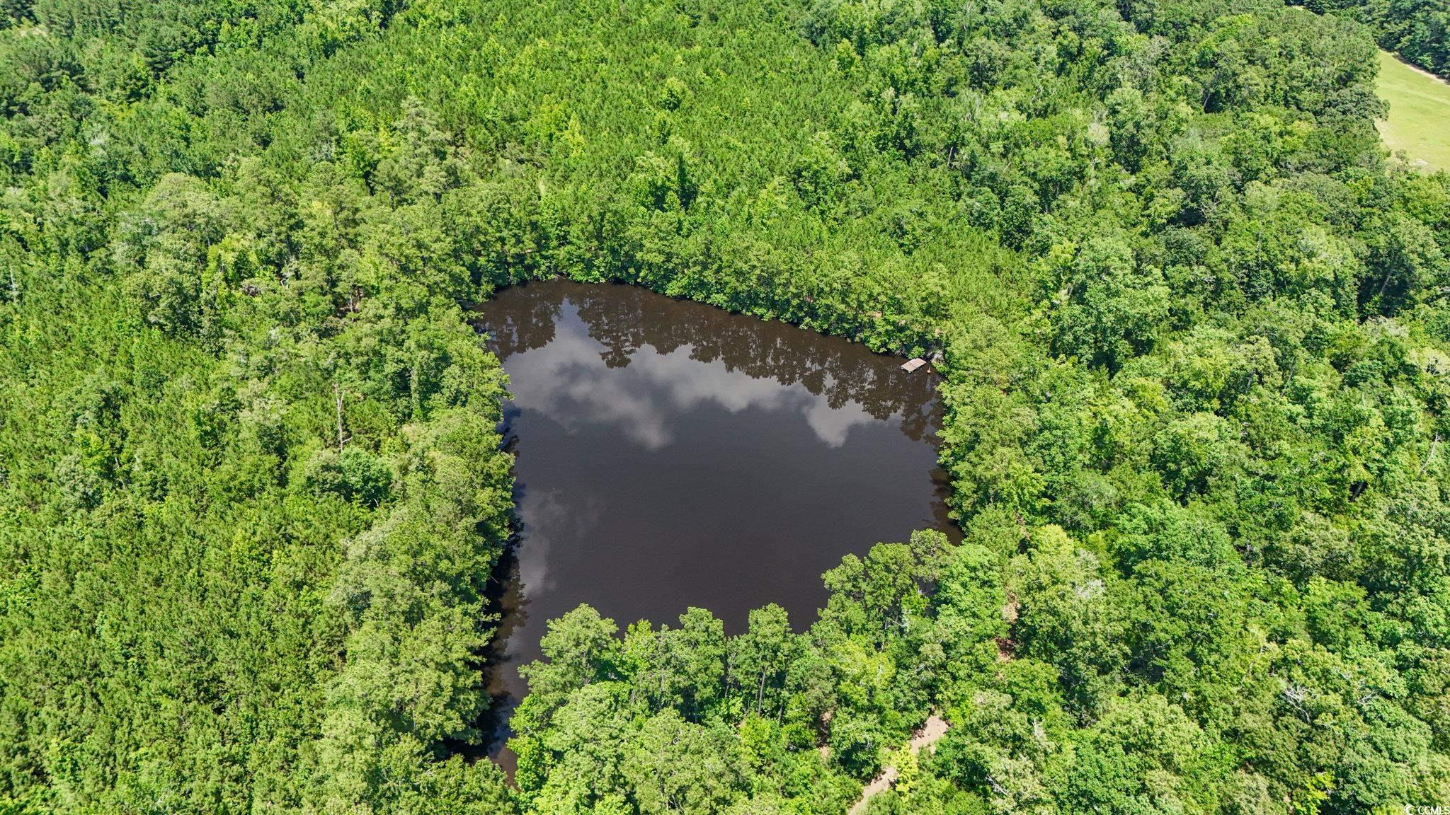 1351 Highway 90 Property Photo 4