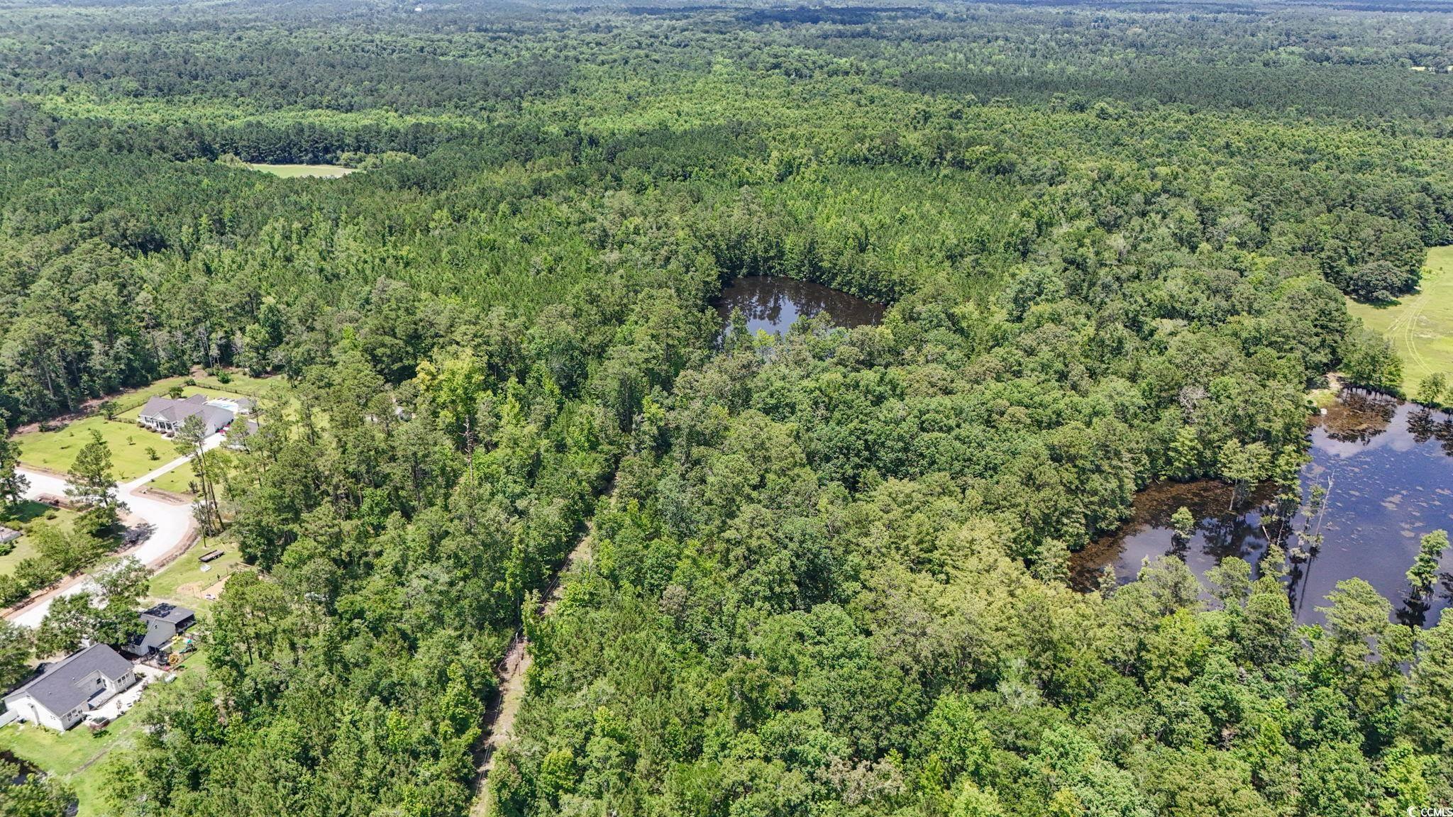 1351 Highway 90 Property Photo 5