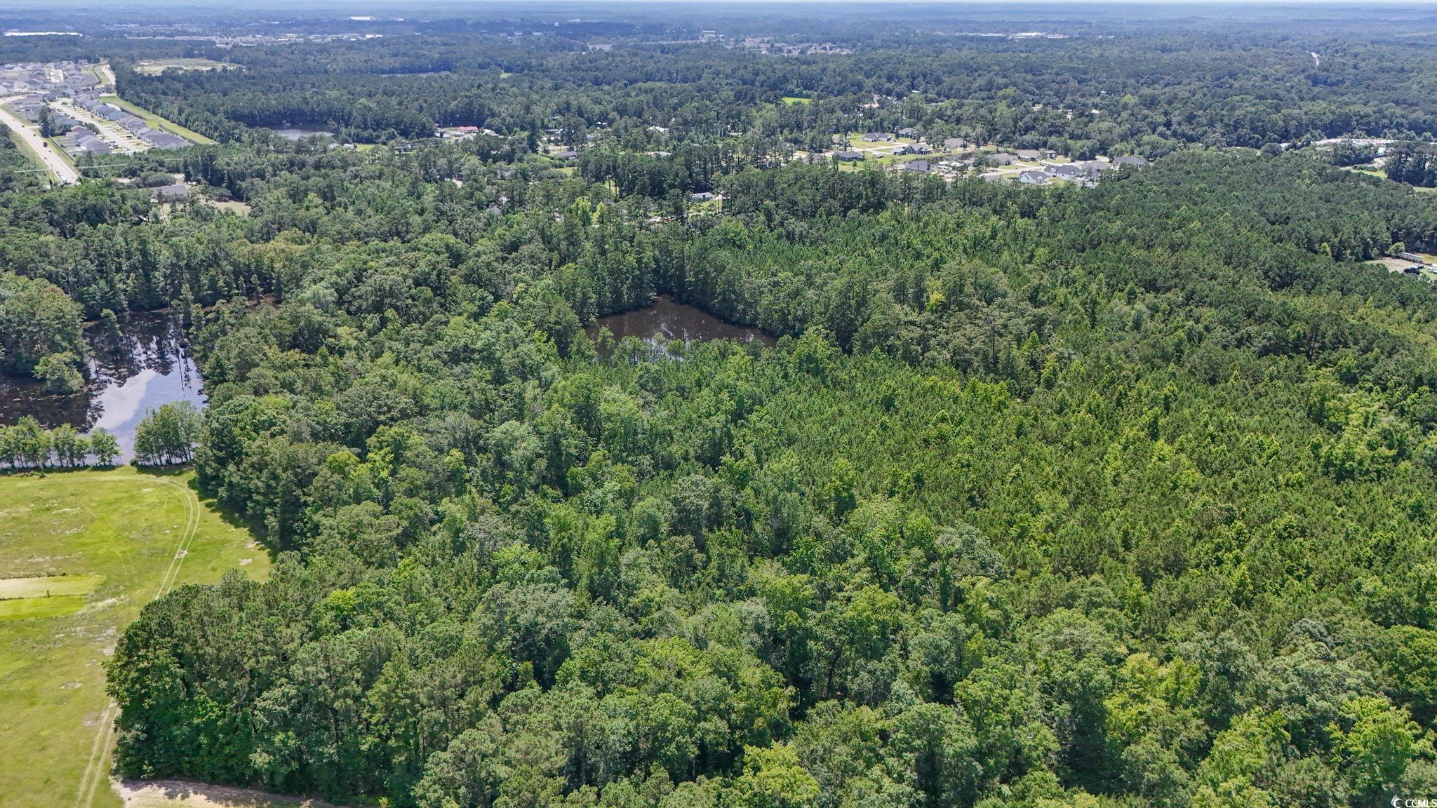 1351 Highway 90 Property Photo 8