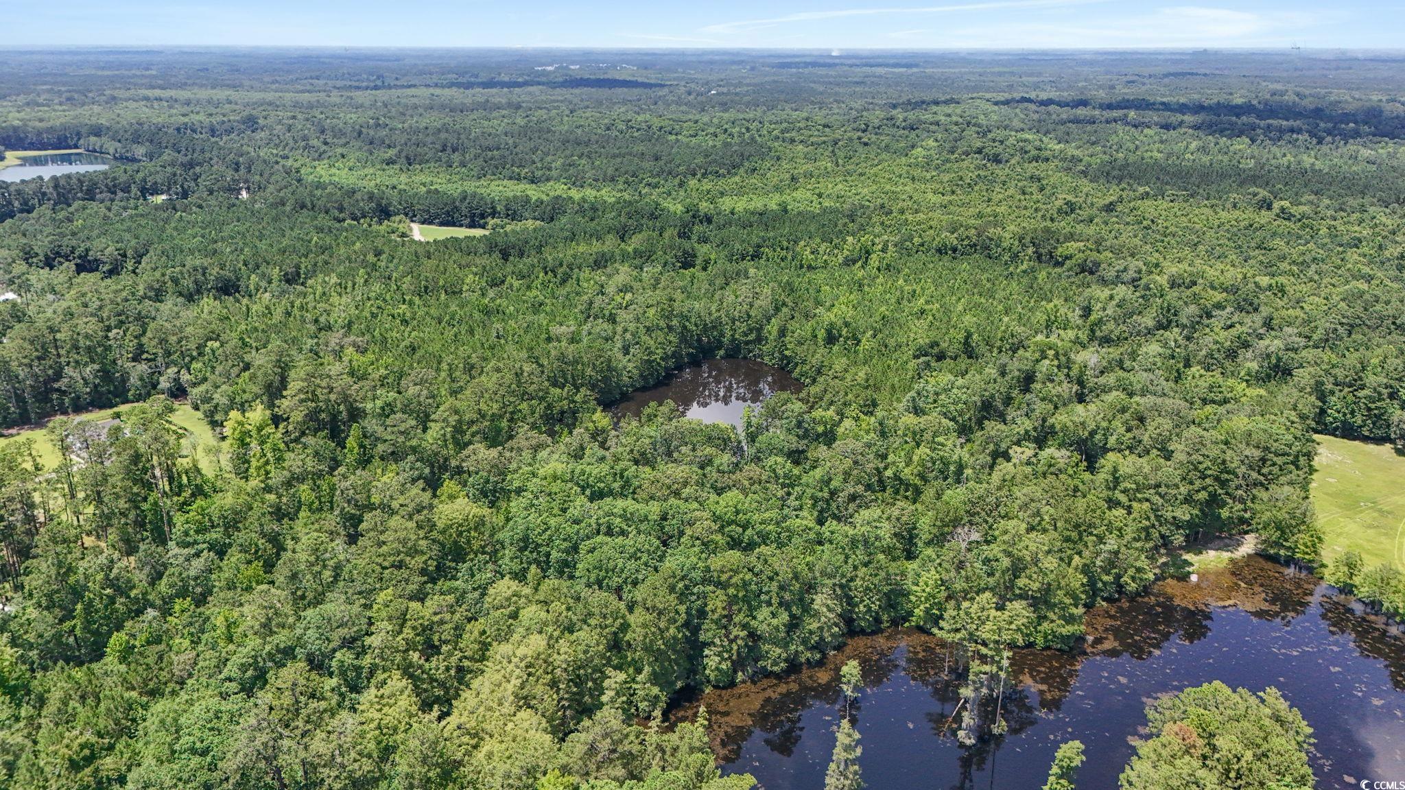 1351 Highway 90 Property Photo 9