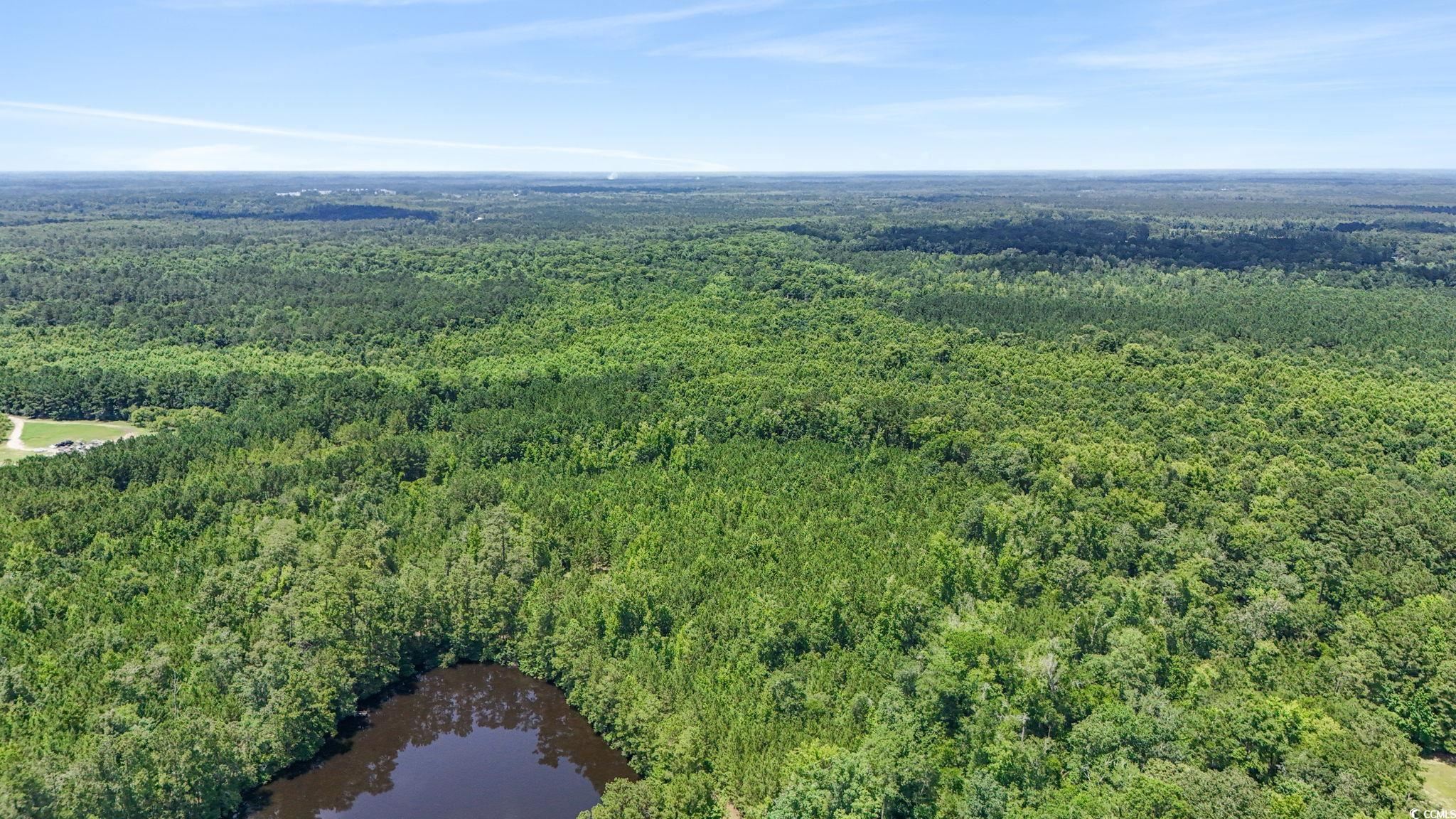 1351 Highway 90 Property Photo 10