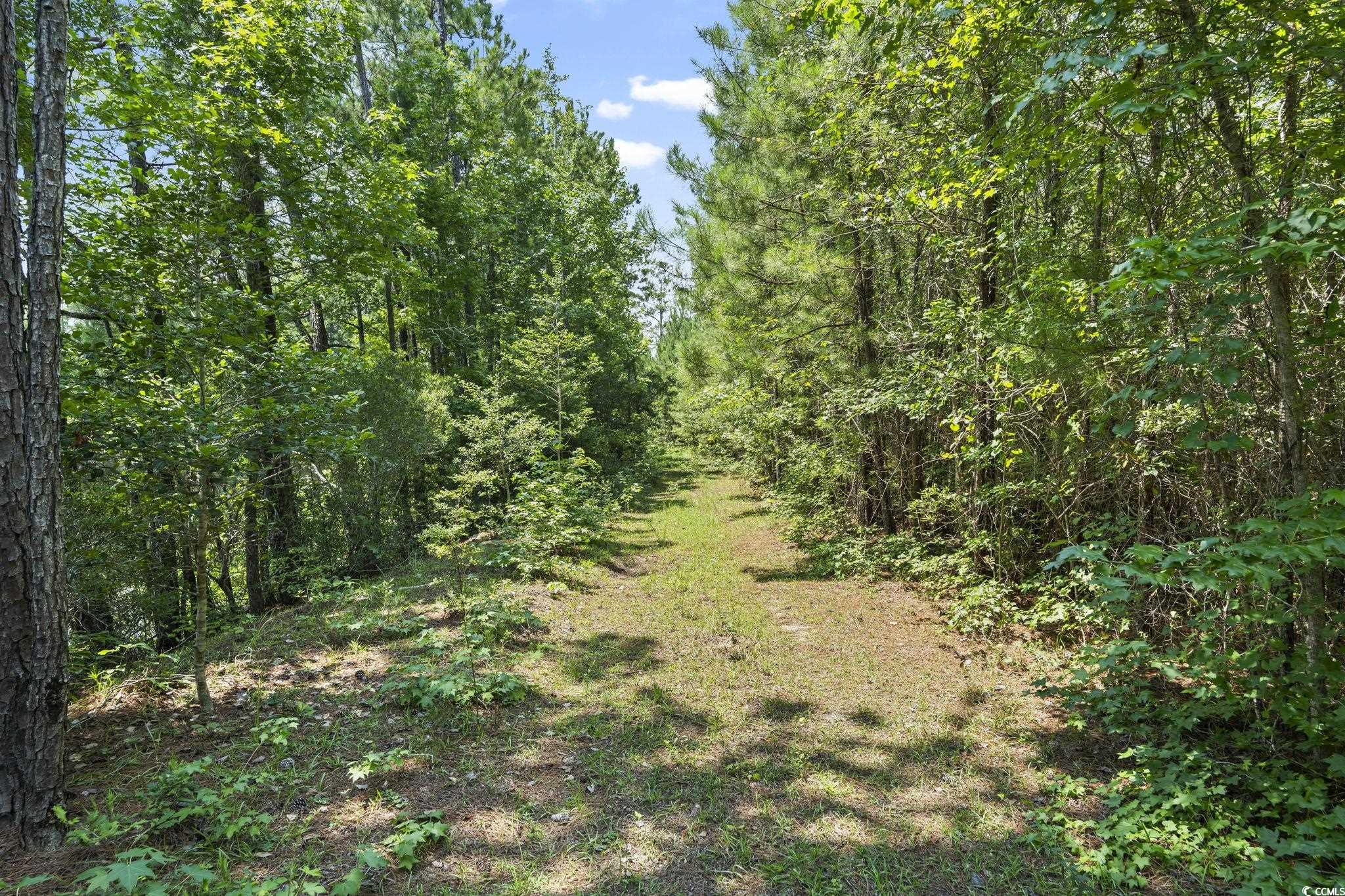 1351 Highway 90 Property Photo 13