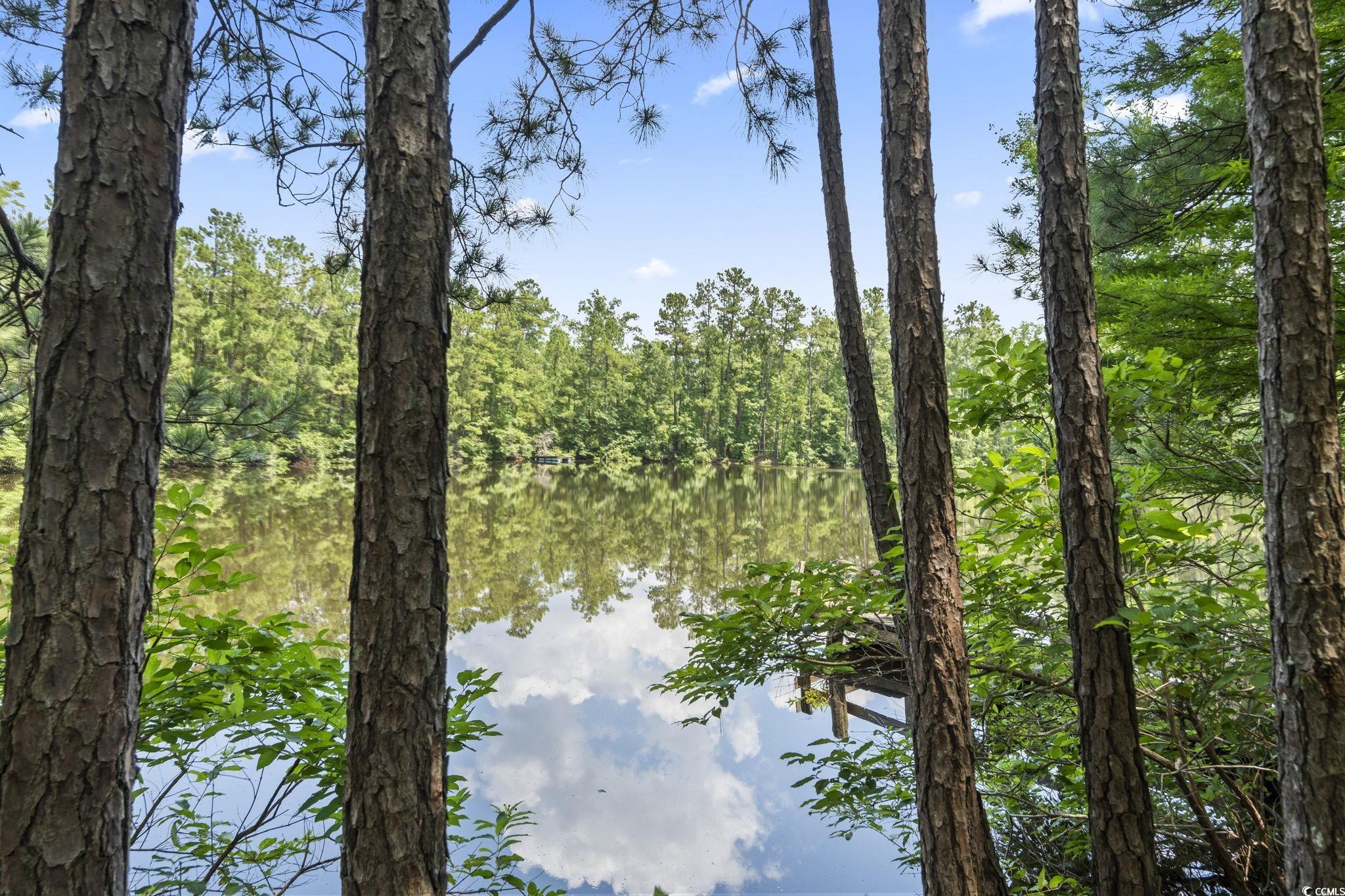 1351 Highway 90 Property Photo 16