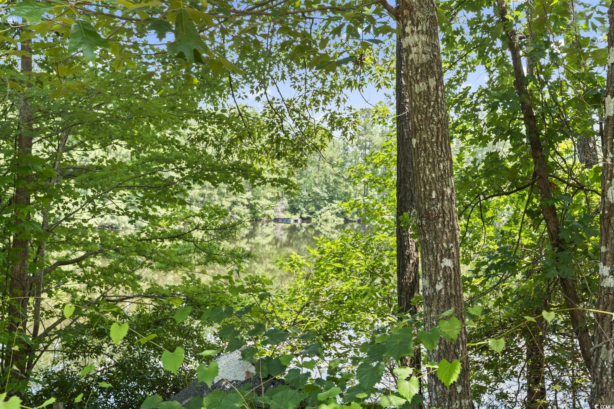 1351 Highway 90 Property Photo 17