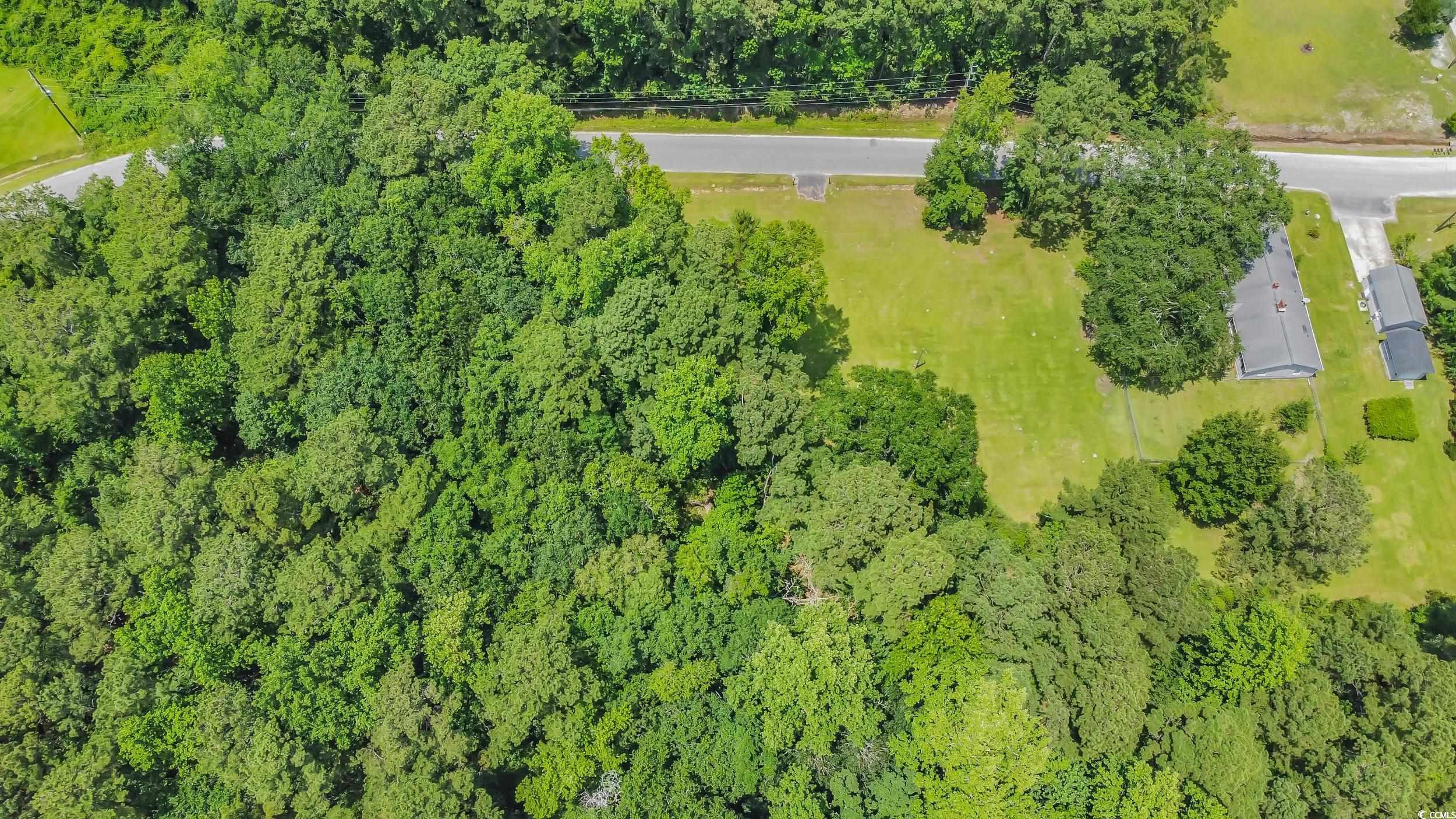 11859 Highway 707 Property Photo 8