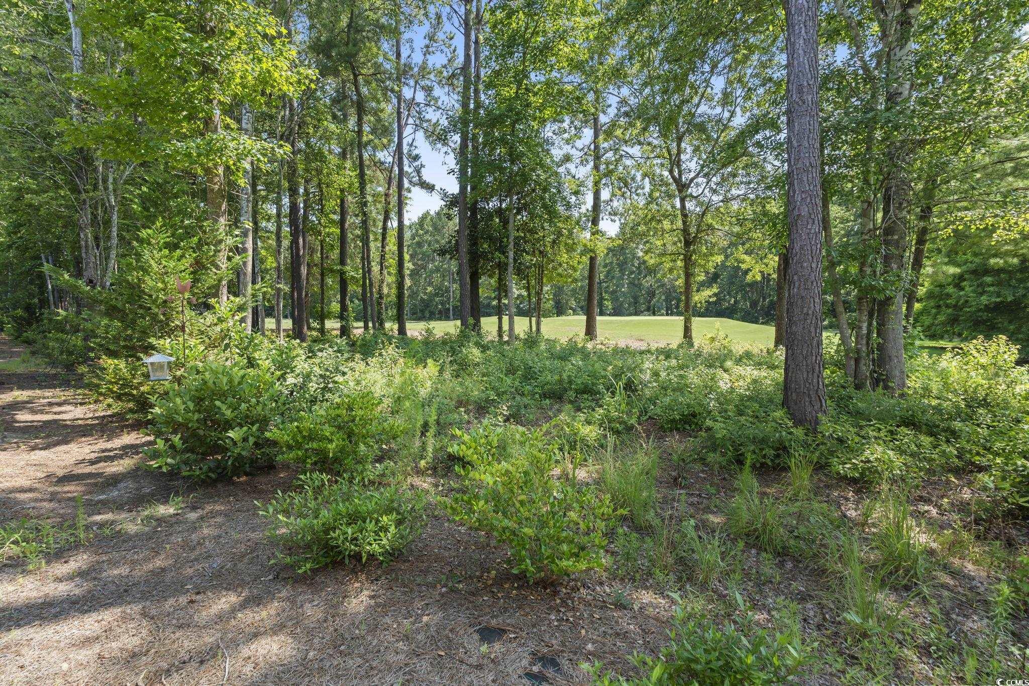 116 Kingsbury Loop Property Photo 35