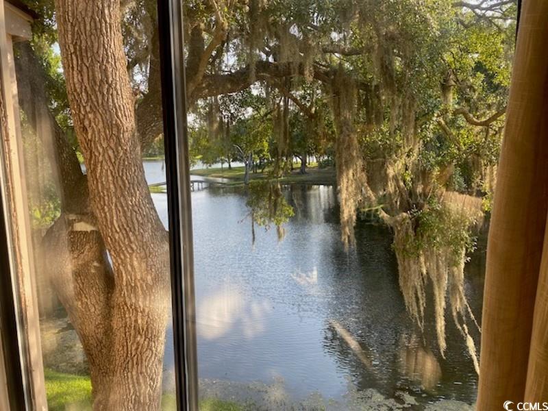 18 Canvas Back Cove Property Photo 9