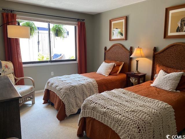 18 Canvas Back Cove Property Photo 29