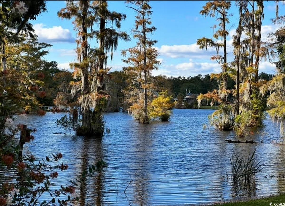 18 Canvas Back Cove Property Photo 38