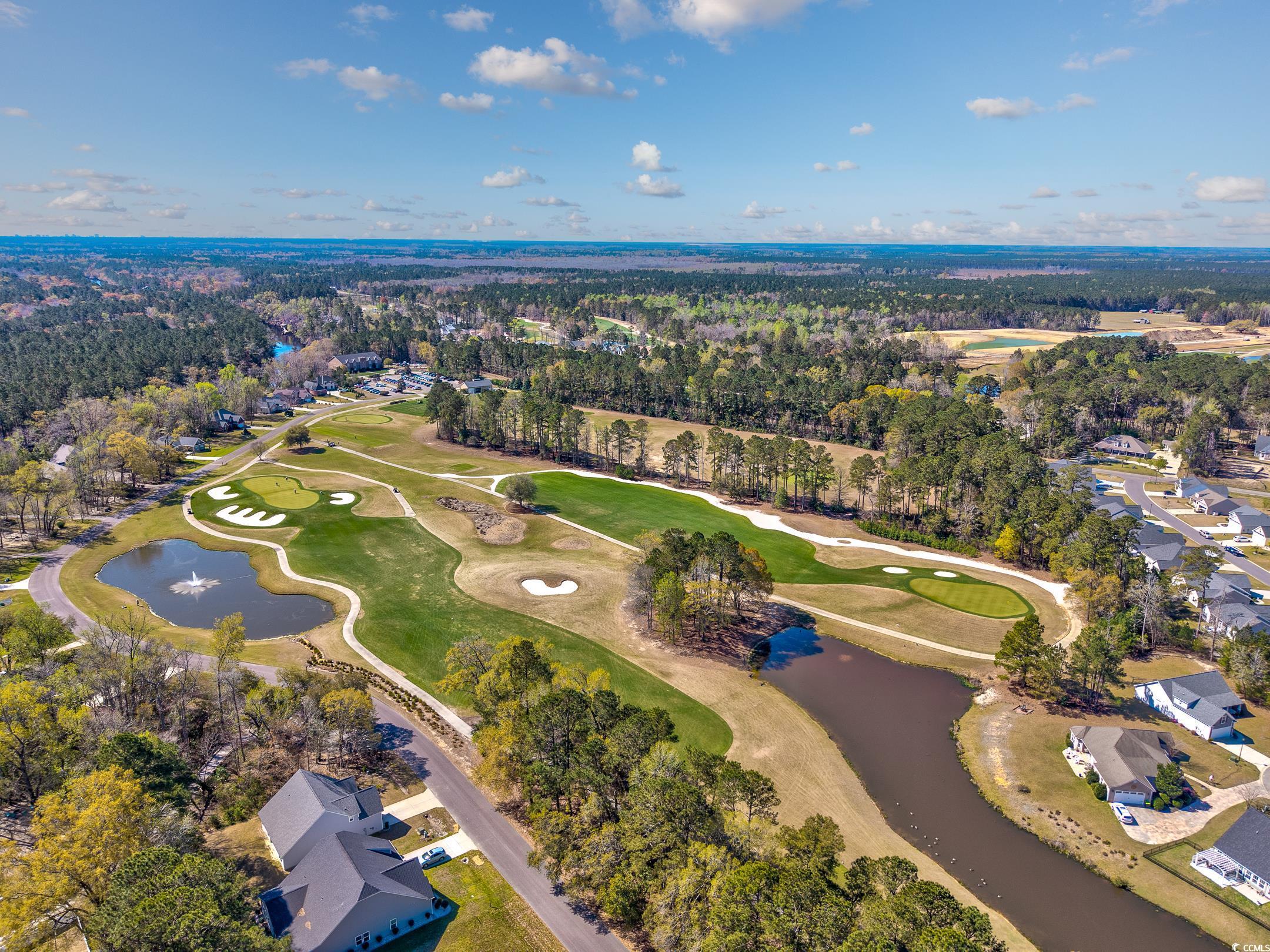 318 Board Landing Circle Property Photo 34