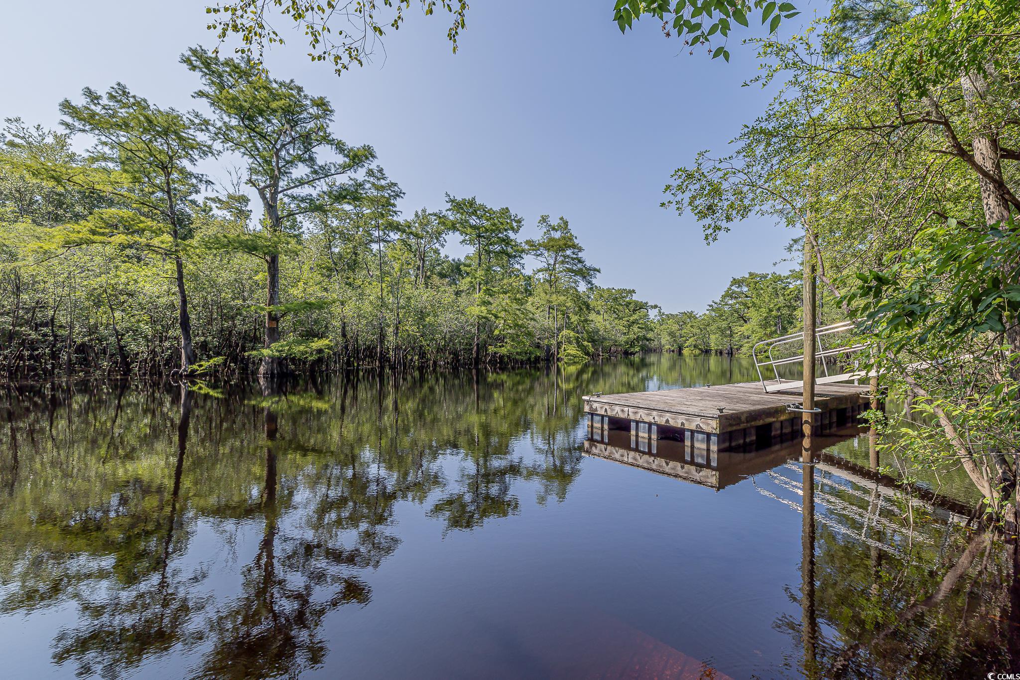 520 Oak Pond Ct. Property Photo 24