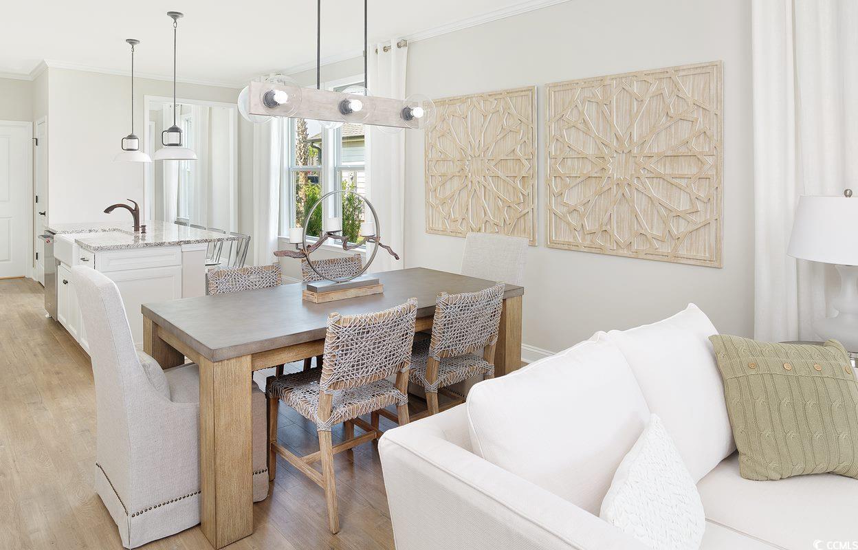 1217 Lady Bird Way Property Photo 4