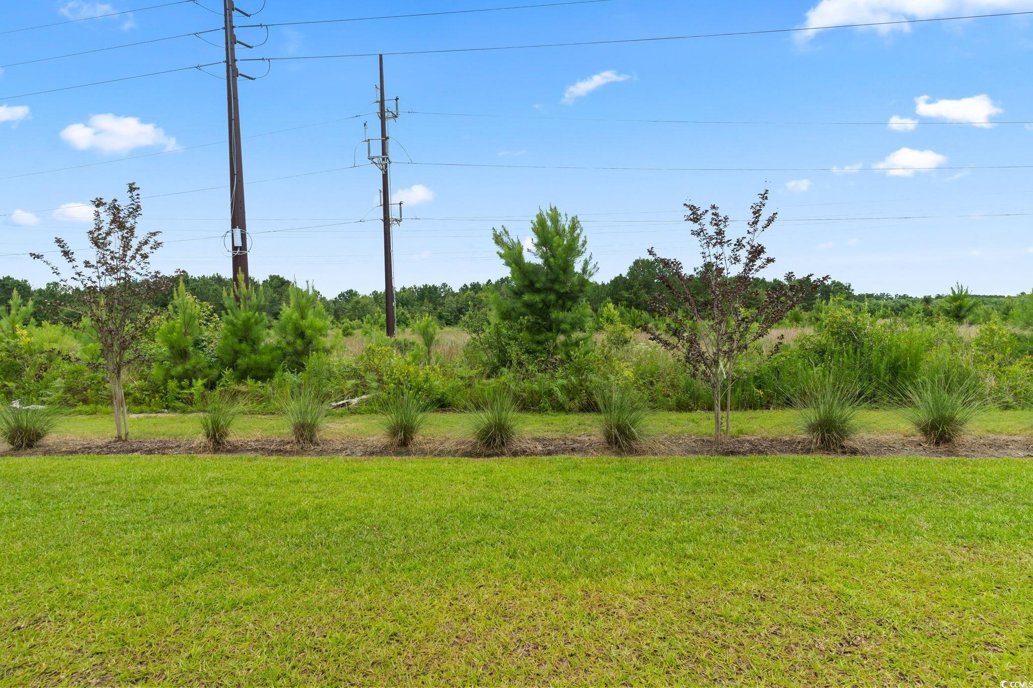 244 Jasper Overlook Way Property Photo 35