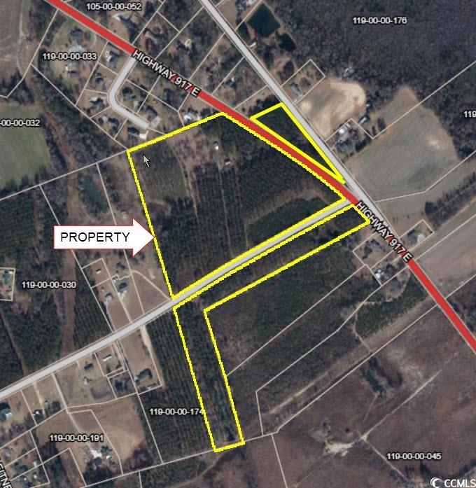 Tbd Highway 917 Property Photo 1