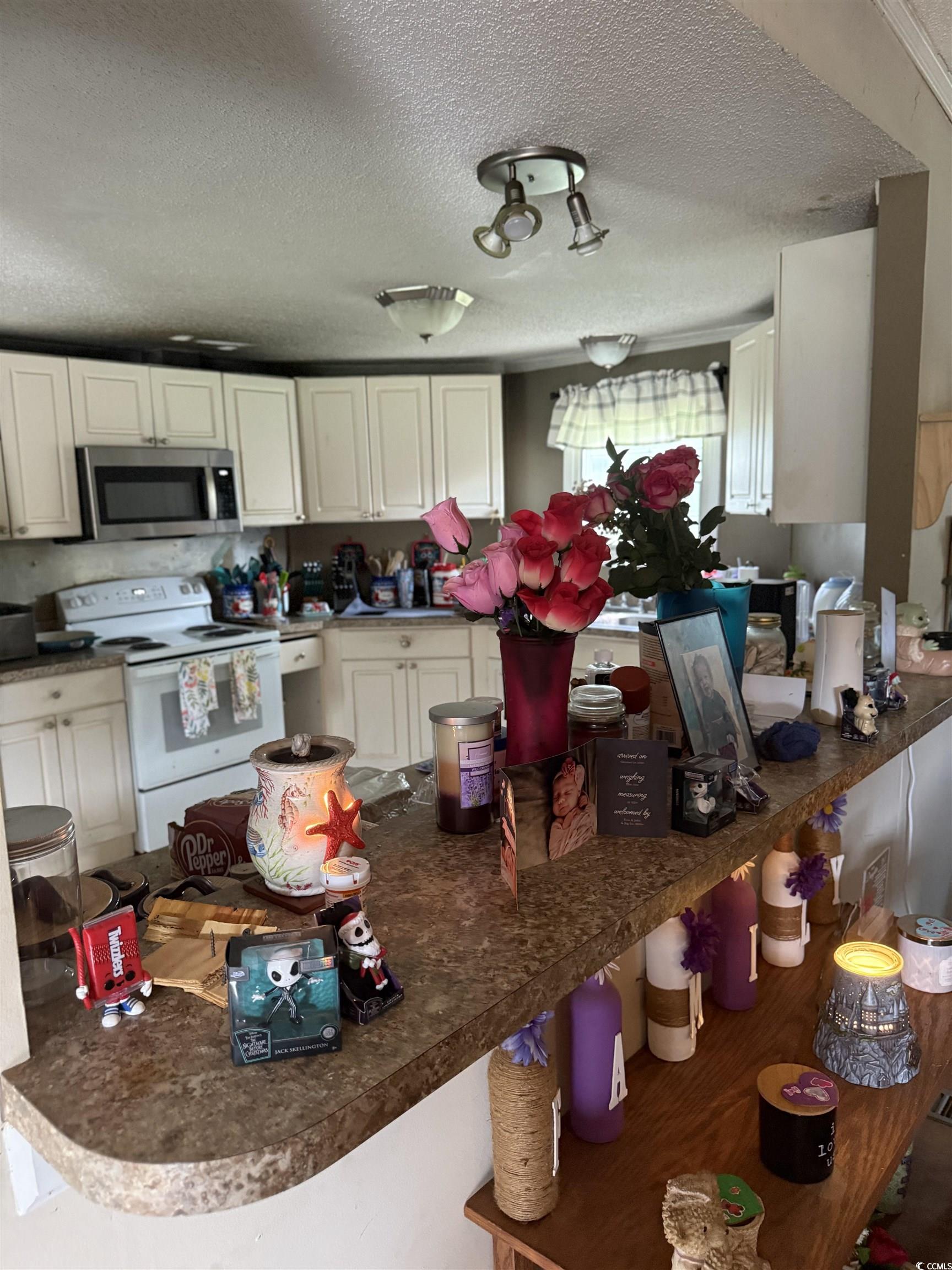 270 Morris Rd. Property Photo 5