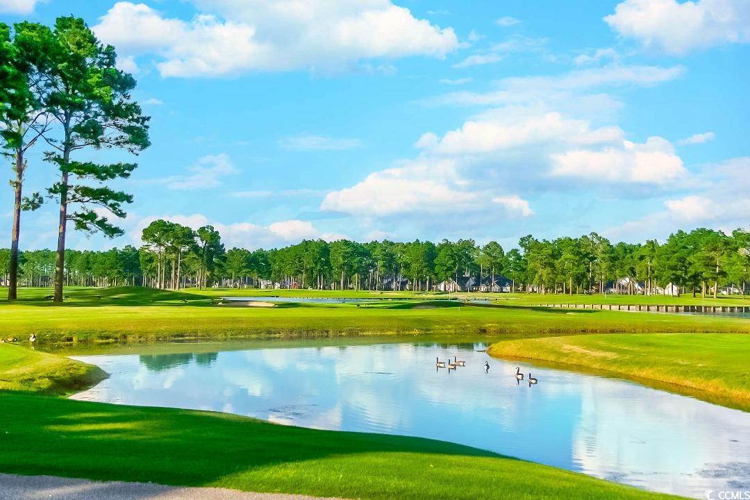 35 Palmetto Green Dr. Property Photo 17