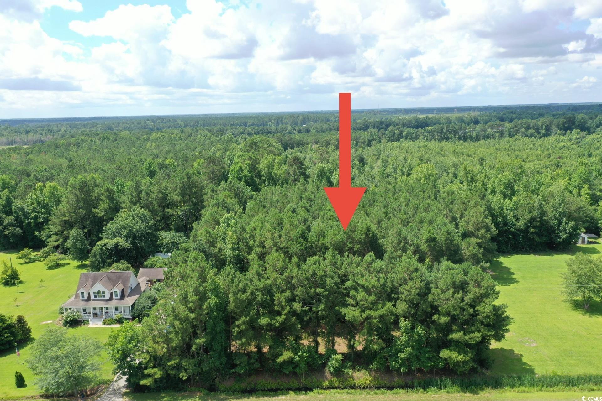 Tbd Hamps Rd. Property Photo 1