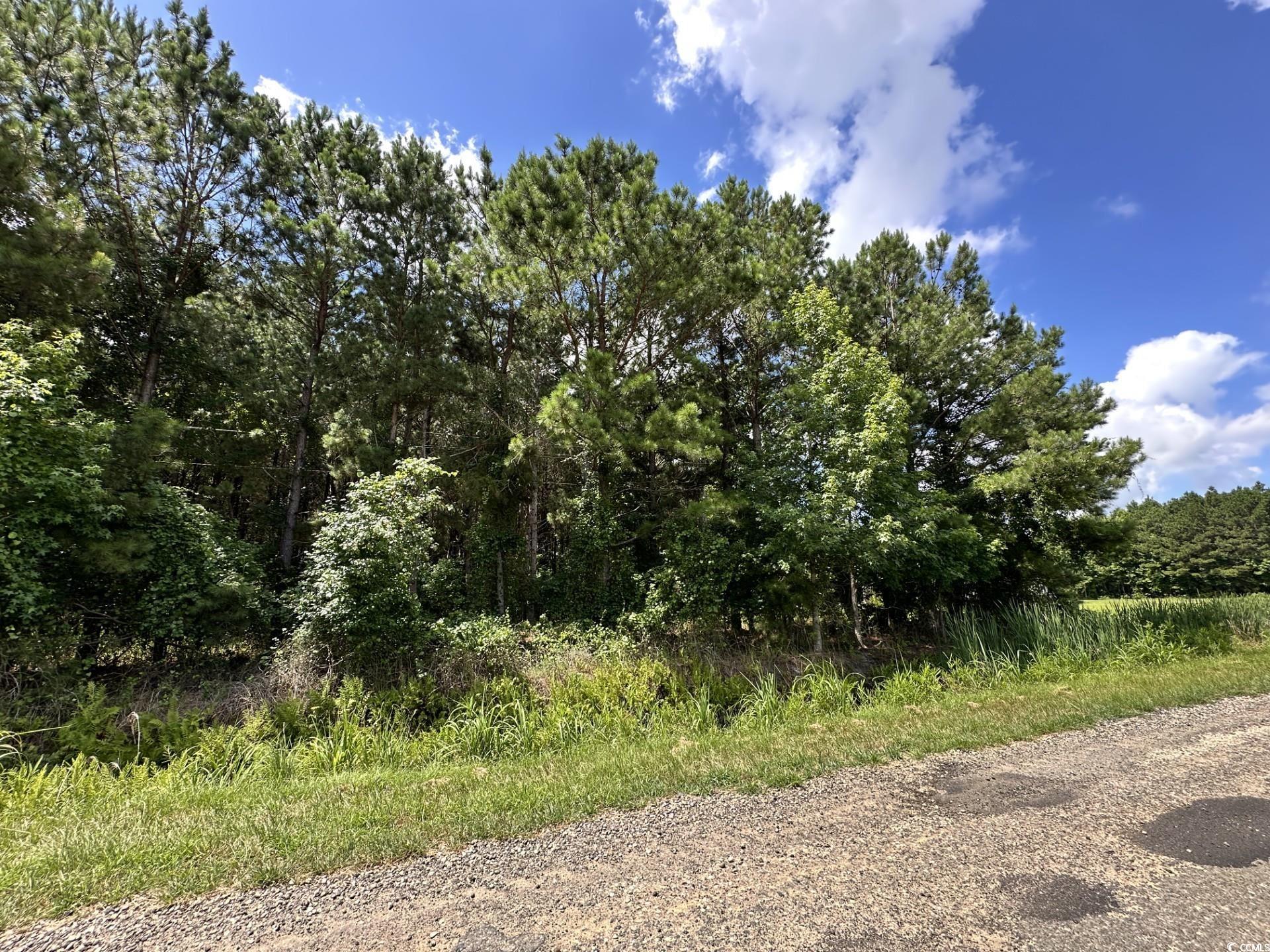 Tbd Hamps Rd. Property Photo 7