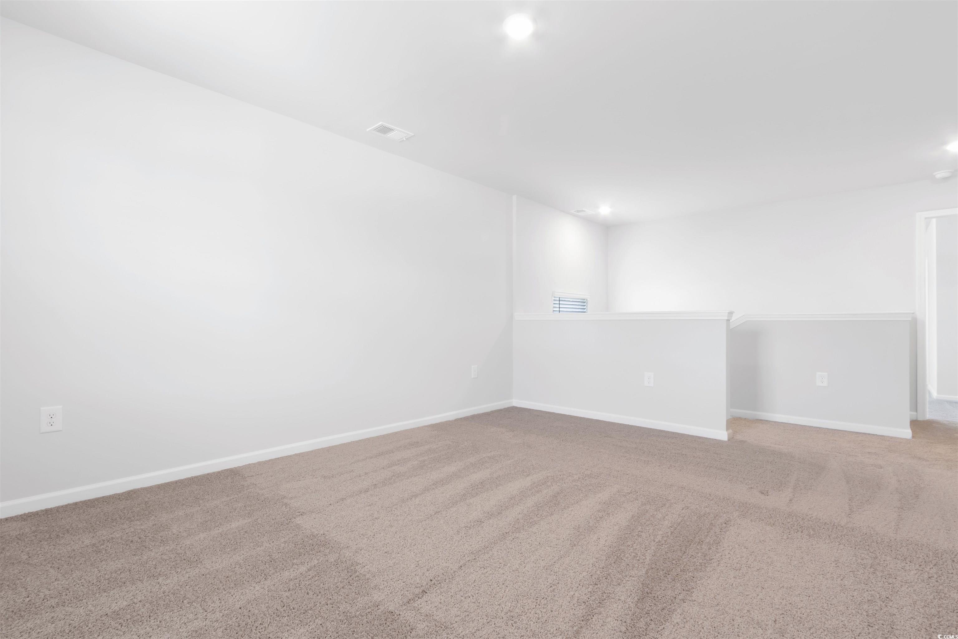 1008 Kinness Dr. Property Photo 22