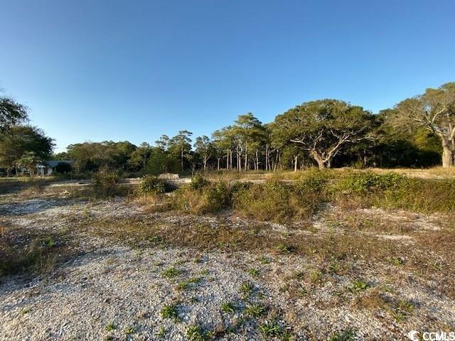 Tbd C Jacks Circle Rd. Property Photo 3