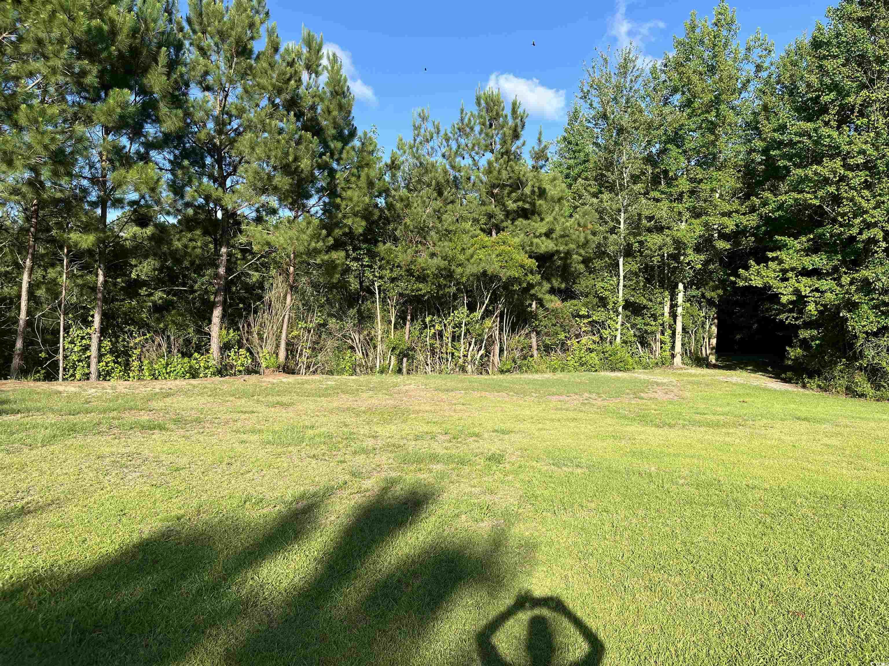 Tbd Volunteer Dr. Property Photo 9