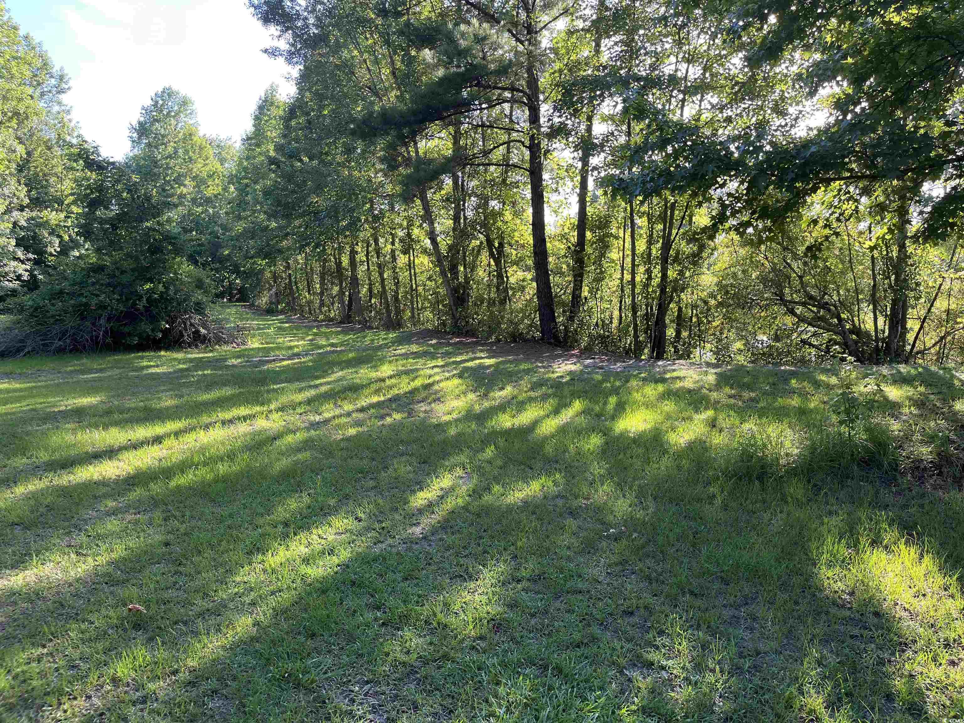 Tbd Volunteer Dr. Property Photo 12
