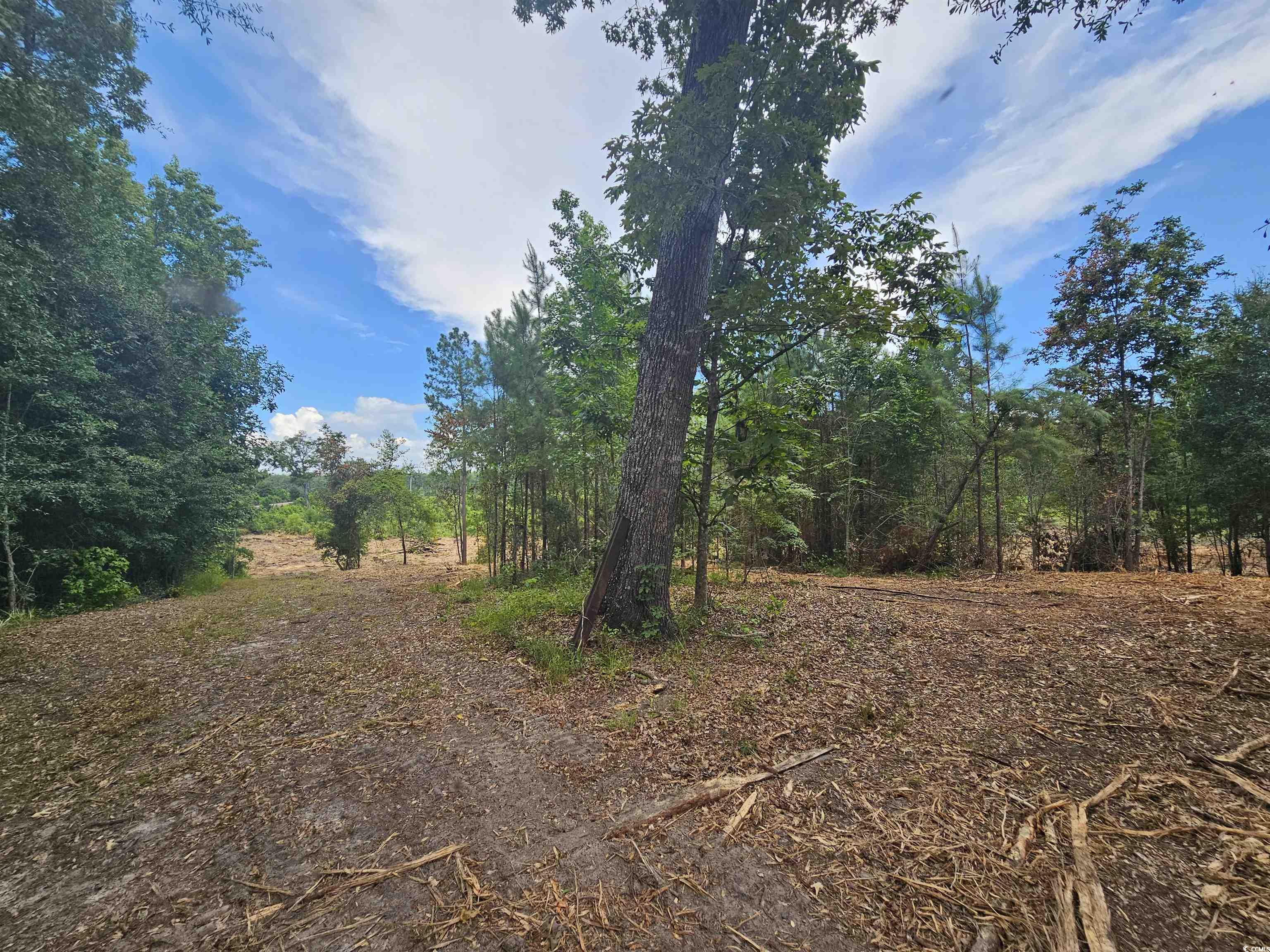 157 Mingo Chandler Rd. Property Photo 4
