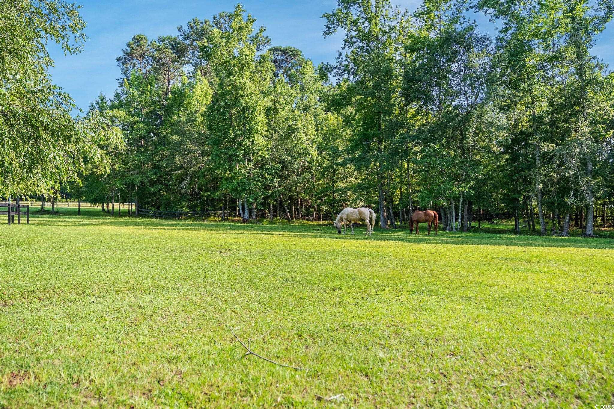2420 Mount Zion Rd. Property Photo 39