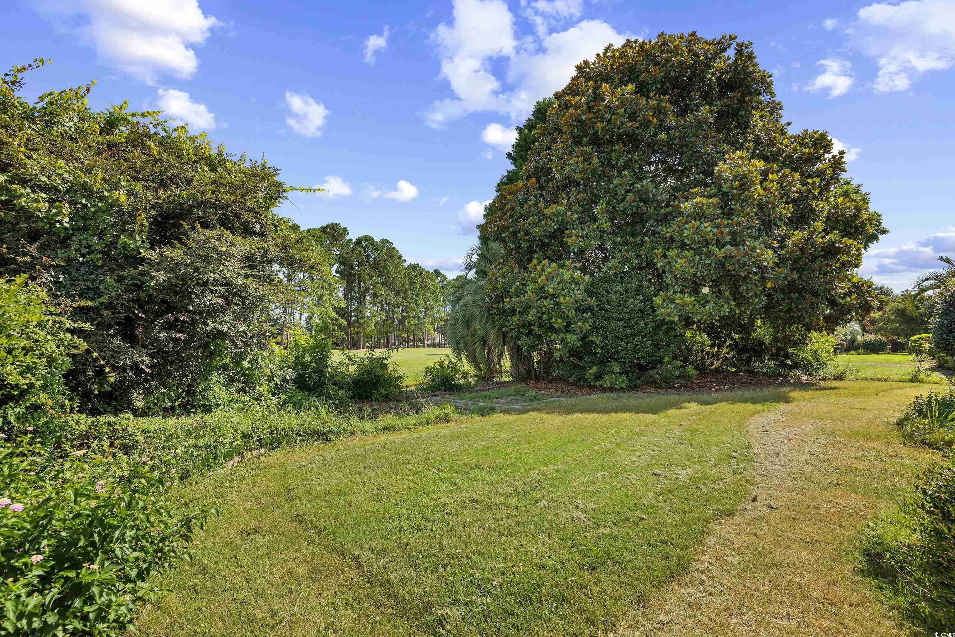 509 Wildflower Trail Property Photo 33