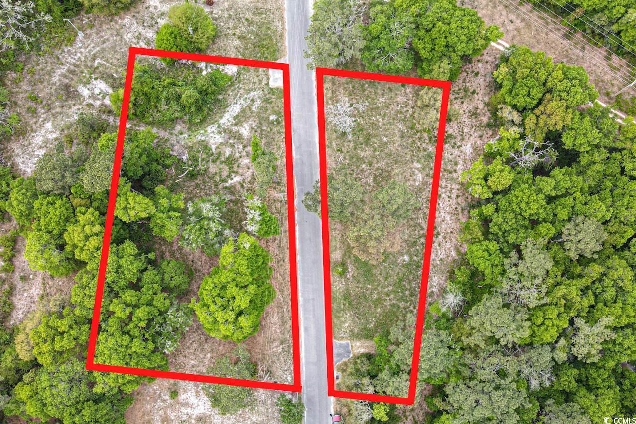 Tract 2 Little River Neck Rd. Property Photo 2