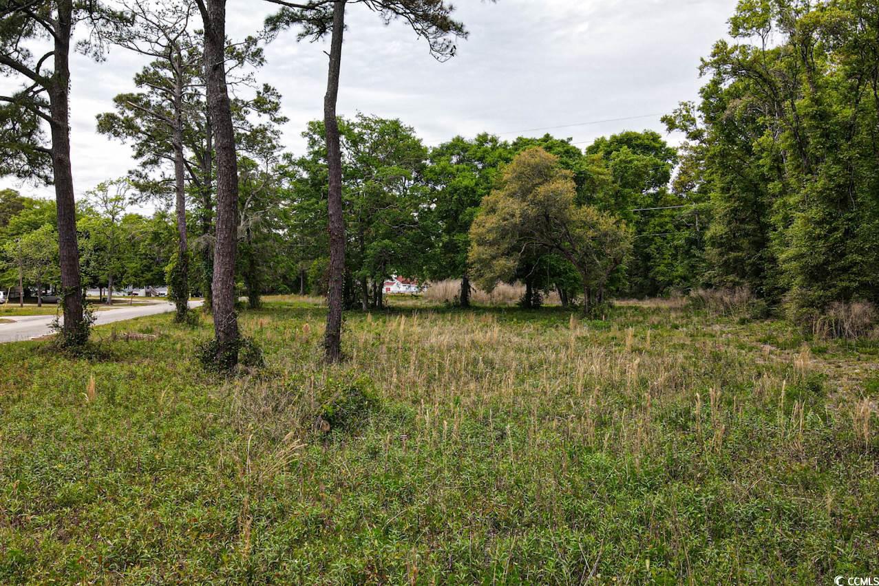Tract 2 Little River Neck Rd. Property Photo 5