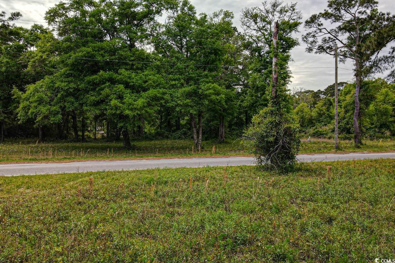 Tract 2 Little River Neck Rd. Property Photo 7