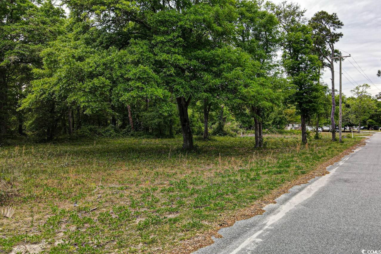 Tract 2 Little River Neck Rd. Property Photo 8