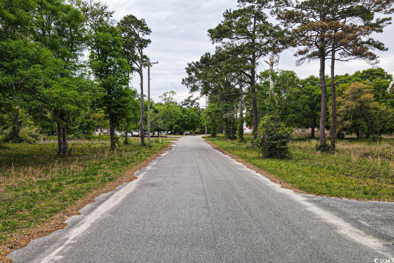 Tract 2 Little River Neck Rd. Property Photo 9