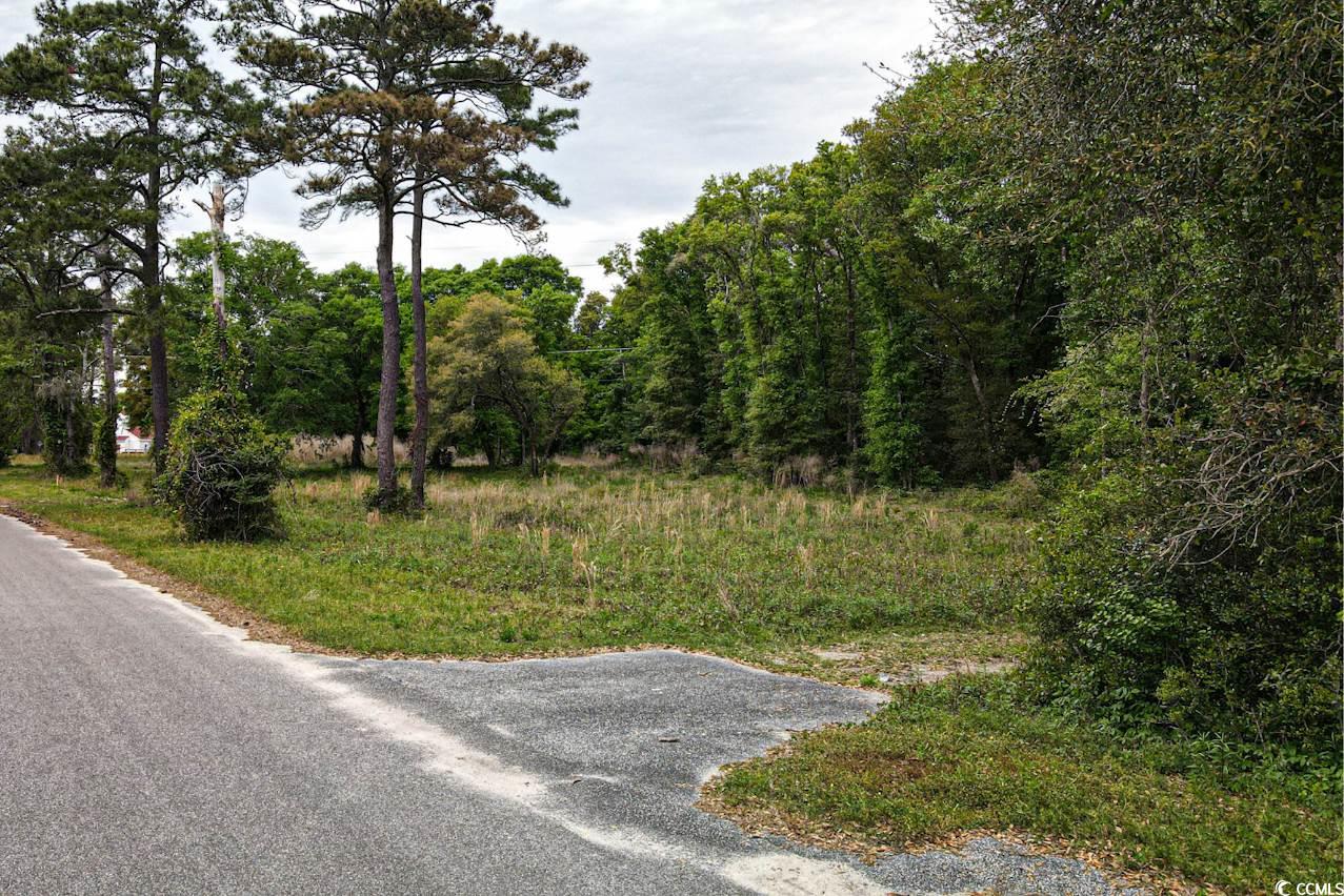 Tract 2 Little River Neck Rd. Property Photo 10