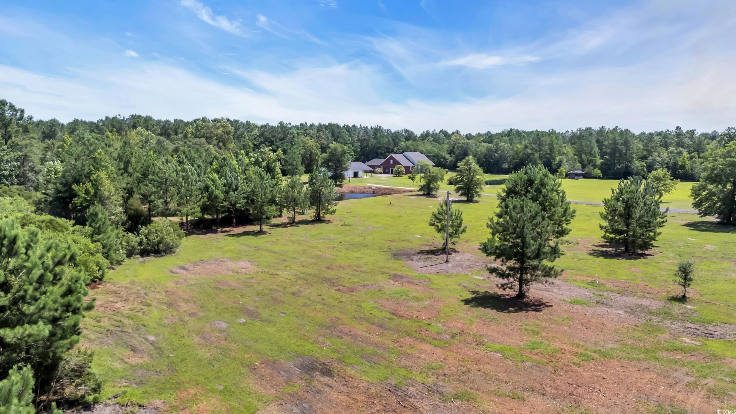 602 Alligator Rd. Property Photo 4