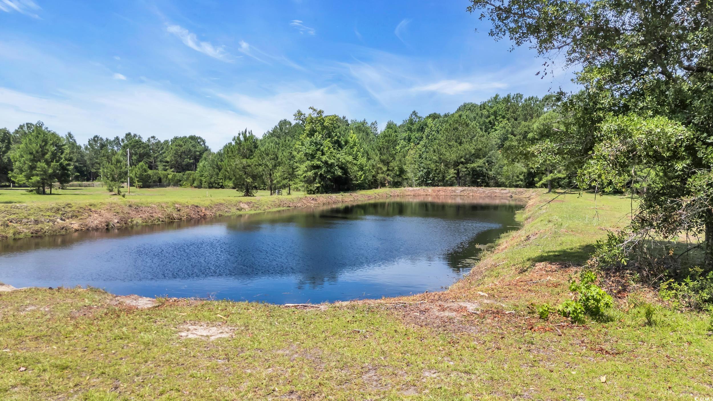 602 Alligator Rd. Property Photo 5