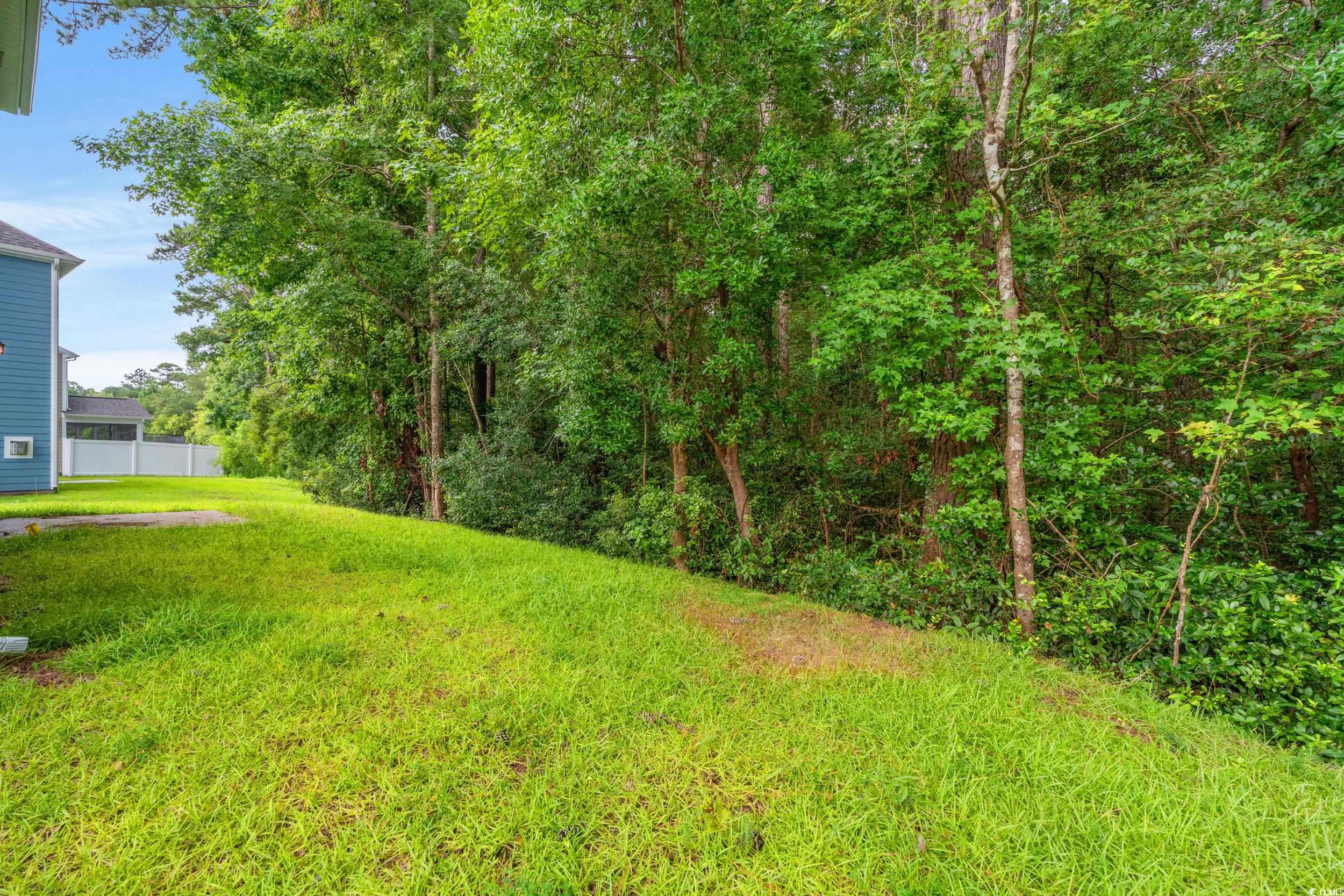 3323 Moss Bridge Ln. Property Photo 29