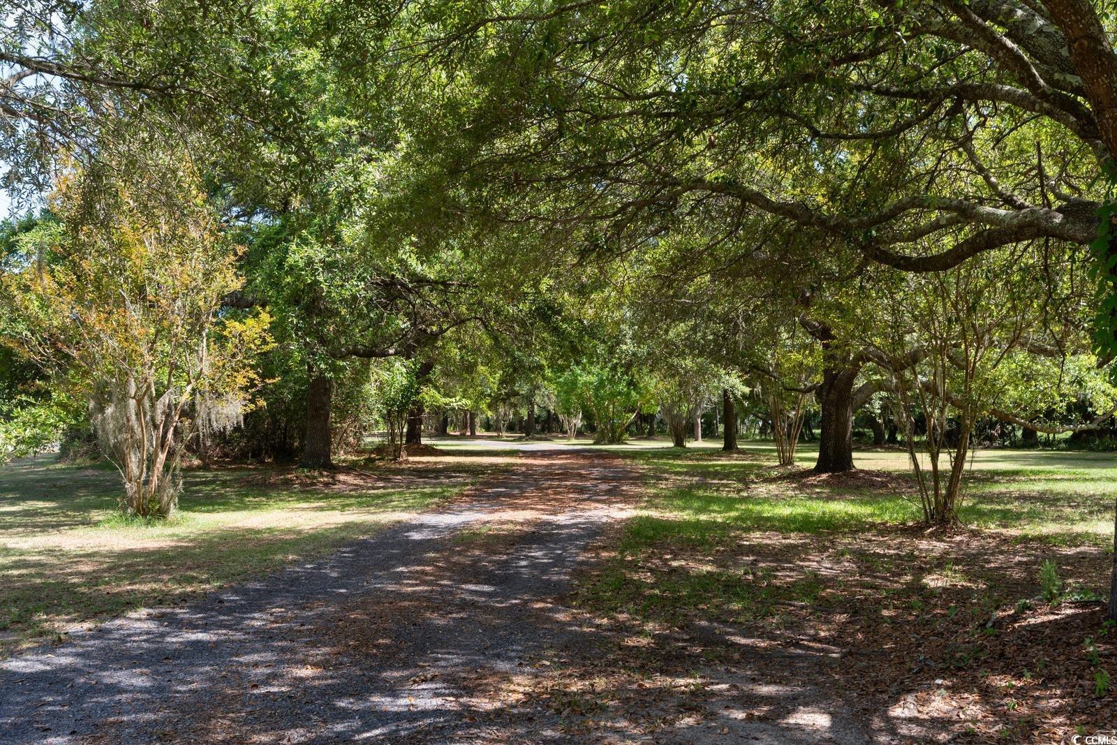 315 Lofton Ct. Property Photo 40