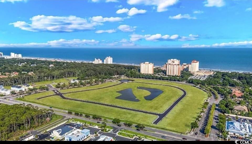225 Atlantic Breeze St. Property Photo 4