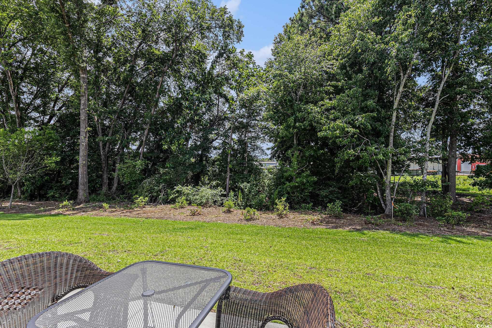 1213 American Shad Dr. Property Photo 23