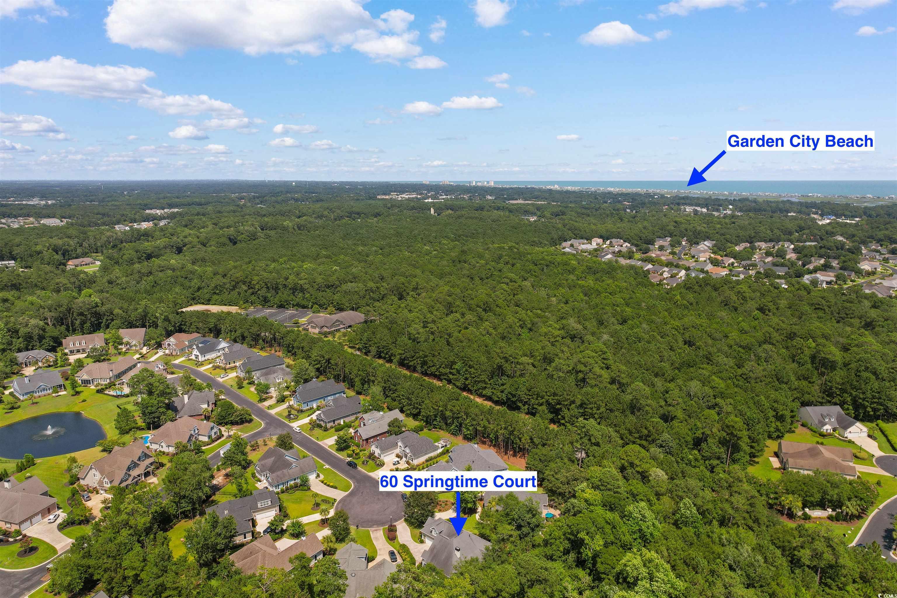 60 Springtime Ct. Property Photo 10