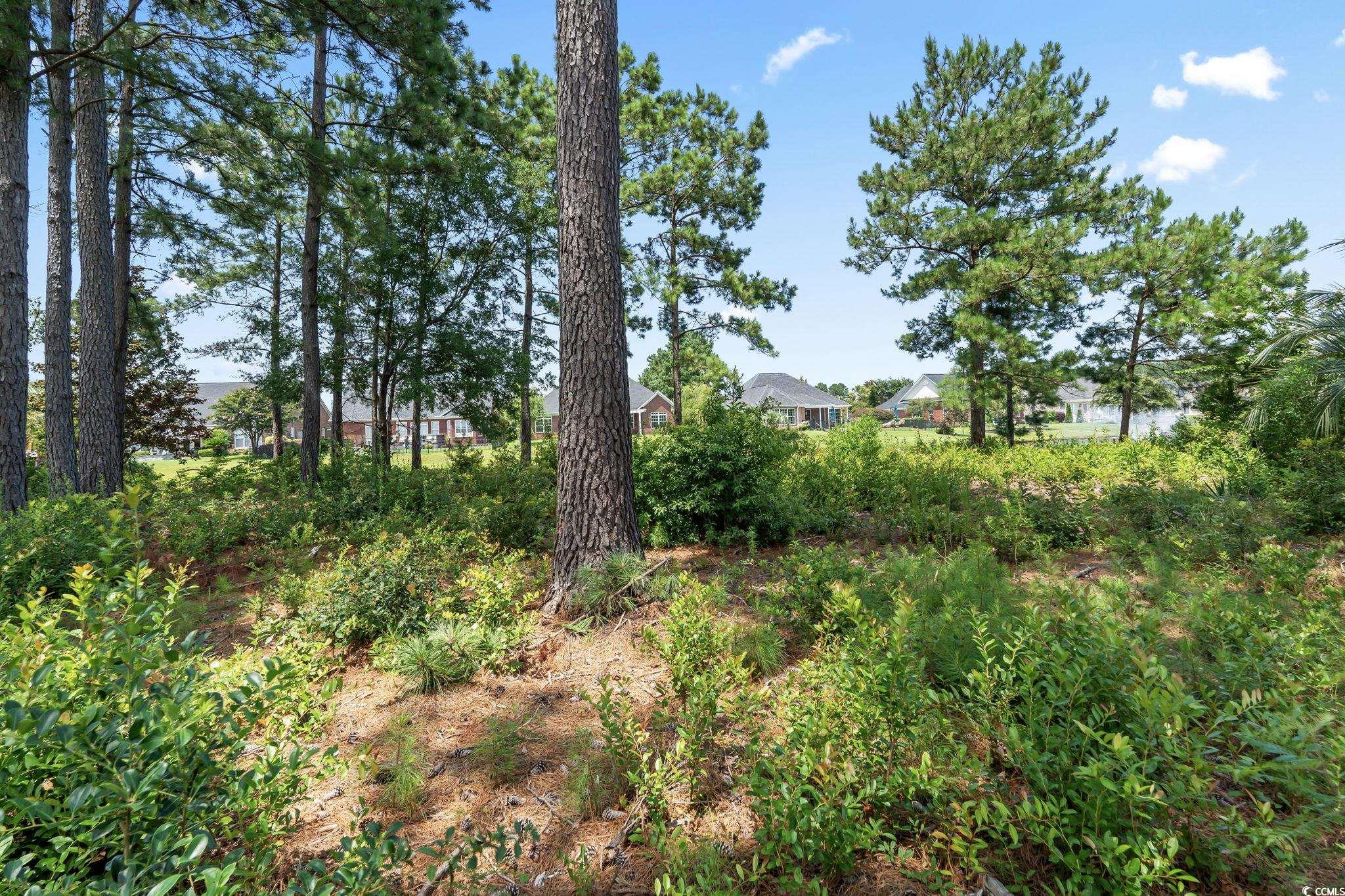 511 Quincy Hall Dr. Property Photo 13