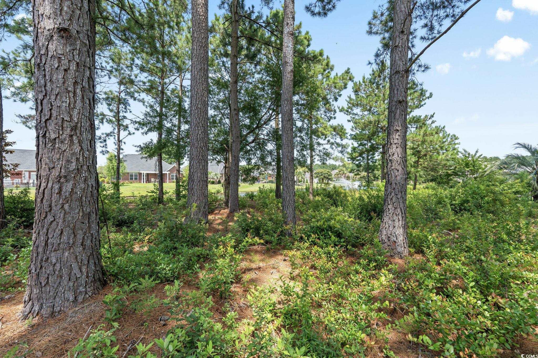 511 Quincy Hall Dr. Property Photo 14